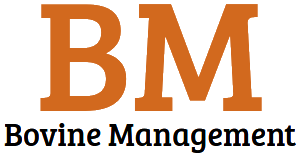 bm - bovine management